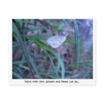 Hang On Postcard