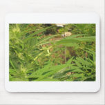 hang ten 420 cannabis mouse pad pads shirts weed