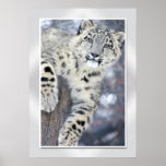 Hangin' Around....(w/border)
