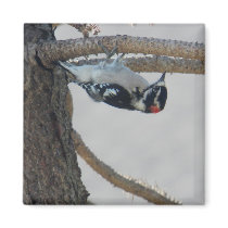 Hangin Out by Leslie Peppers Magnets