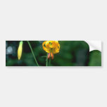 Hanging Flowers Bumper Stickers