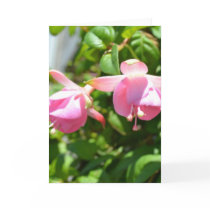 Hanging Flowers Cards