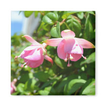 Hanging Flowers Fridge Magnets