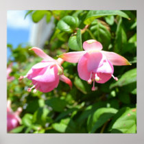 Hanging Flowers
