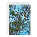 "Hanging Gibbon" Artwork invitations