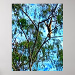 "Hanging Gibbon" Artwork posters