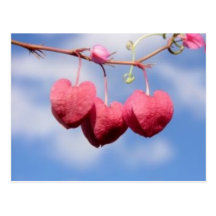 Hanging_hearts flower  postcard