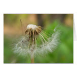 Hanging in there card