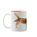 Hanging In There Mugs