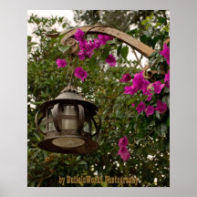 Hanging Lamp Poster