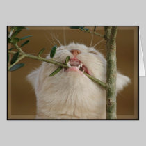 Hanging on cards