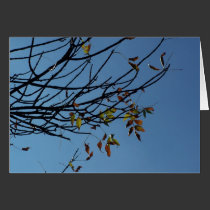 Hanging On Notecard cards