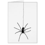 Hanging Spider cards
