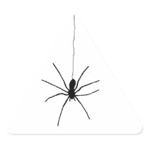Hanging Spider Sticker