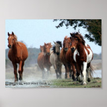 Hanging Together Print