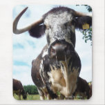 Hankerchief? | English Longhorn Cow Mousepad