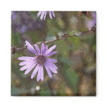 Happily Ever Aster