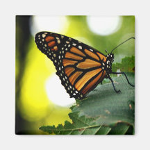 Happines is a Butterfly Fridge Magnet
