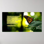 Happiness is a Butterfly posters