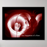 Happiness of a Rose posters