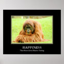 Happiness ~ That Short-Lived Elusive Feeling posters