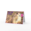 Happy 27th Birthday Prairie Dog greeting card