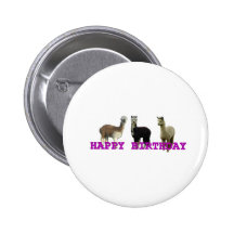 Happy (alpaca)  birthday button