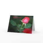 Happy Anniversary Greeting Cards