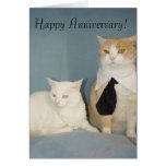 Happy Anniversary! Greeting Cards