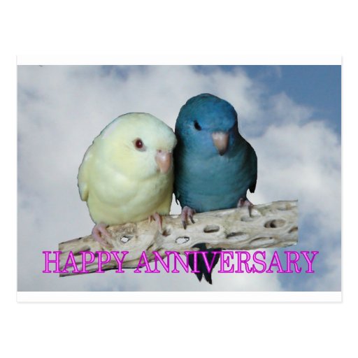 Happy Anniversary Postcard