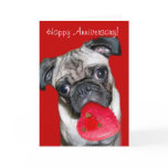 Happy Anniversary Pug greeting card