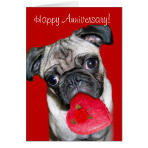 Happy Anniversary Pug greeting card