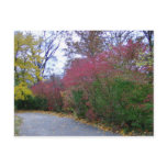 Happy Autumn Day Cards postcards