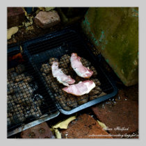 Happy Bacon Poster posters