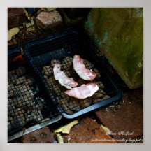 Happy Bacon Poster