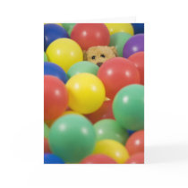 Happy Bear Day - Birthday cards