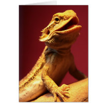 Happy Bearded Dragon Greeting Cards