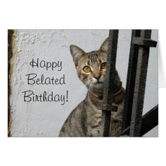 happy_belated_birthday_tabby_cat_greeting_card-r090ec4c5b27b425bba400d521038c186_xvuak_8byvr_324.jpg (324×324)