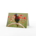 Happy Birdday! Greeting Cards