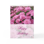 Happy Birthday - A Sea of Pink Chrysanthemums #2 Cards