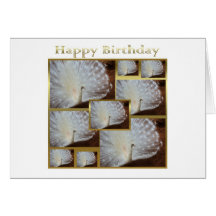 Happy Birthday Albino peacock bird pretty birth Cards