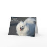 Happy Birthday American Eskimo greeting card