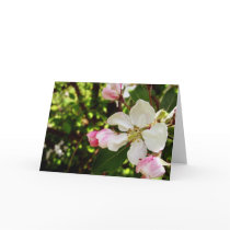 Happy Birthday_Apple-Blossom Cards