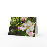 Happy Birthday_Apple-Blossom cards