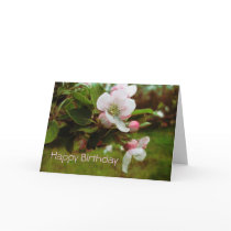 Happy Birthday - Apple Blossums Greeting Cards