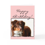 Happy Birthday Australian Shepherd greeting card