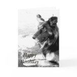 Happy Birthday Belgian Shepherd Dog Card