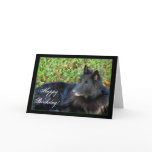 Happy Birthday Belgian Shepherd greeting card