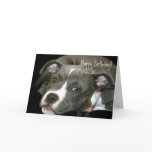 Happy Birthday Blue Pitbull Puppy greeting card