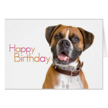 Happy Birthday Boxer Cards